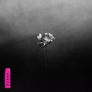 Little Simz - 'Lotus' Cover Art