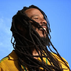 Ziggy Marley -