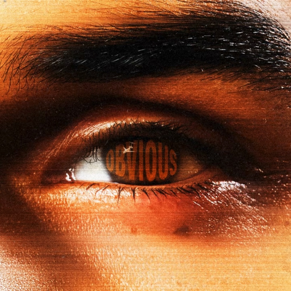 Chris Brown Obvious