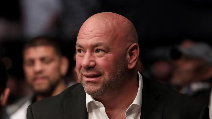 Dana White Shuts Down Any Chance Of Working With Jake & Logan Paul