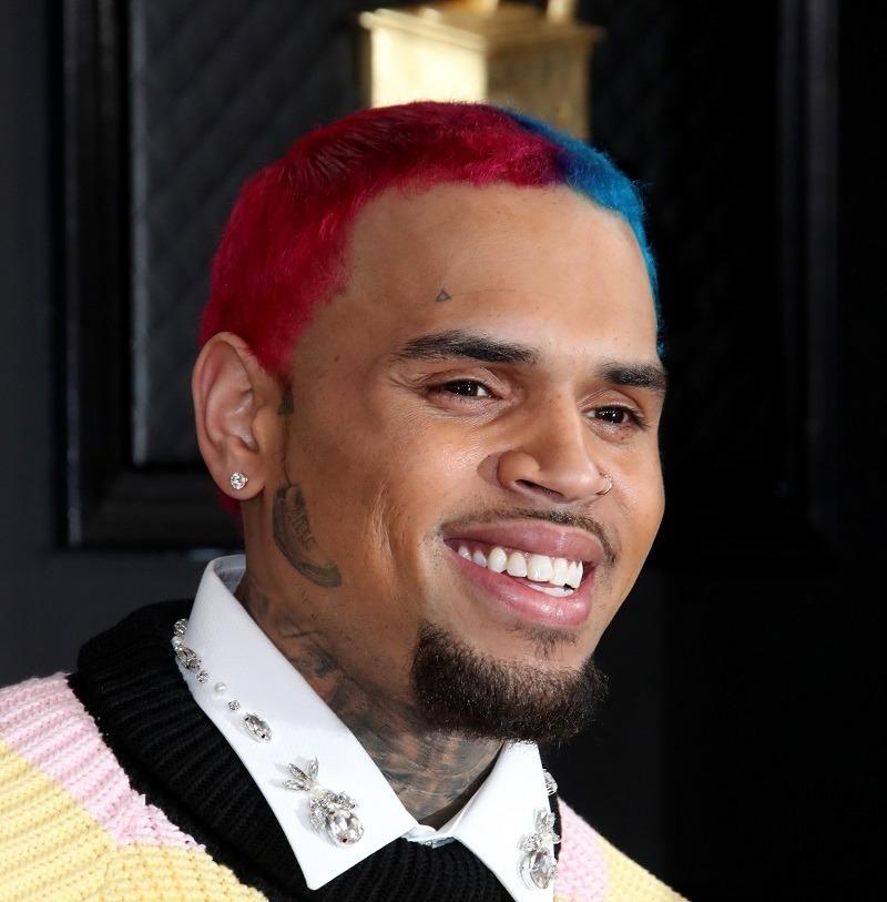 Chris Brown Sued by Former Housekeeper for Vicious Dog Attack